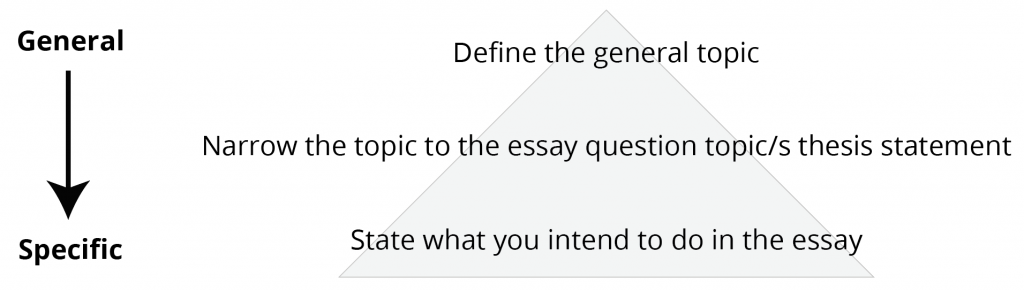 Introduction paragraphs